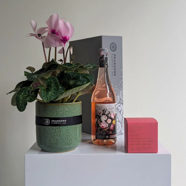 Pretty Plant + Rose Wine