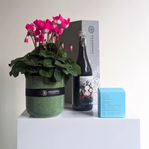 Pretty Plant + Red Wine