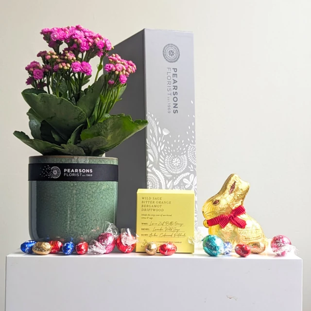 Easter Plant & Candle Hamper