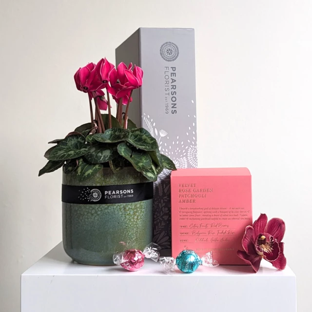 Pearsons Plant & Candle Hamper