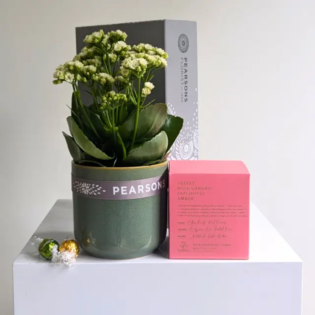 Pearsons Plant & Candle Hamper