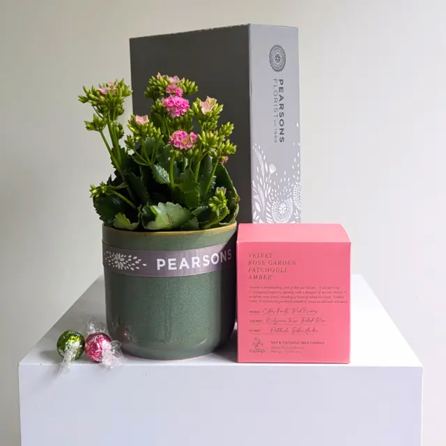 Pearsons Plant & Candle Hamper