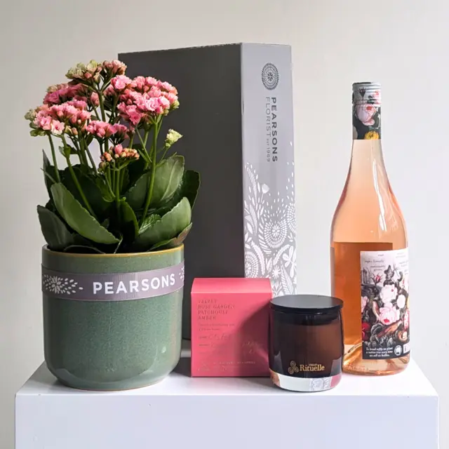 Pretty Plant + Rose Wine