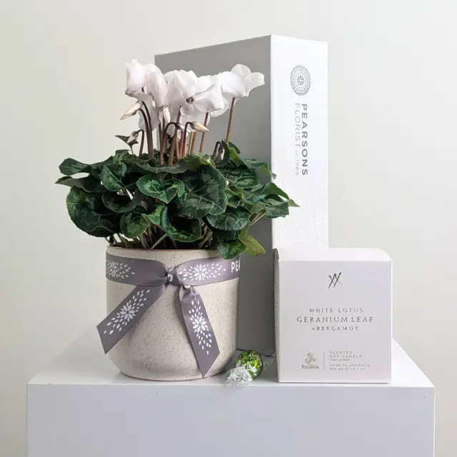 Serenity Plant Hamper
