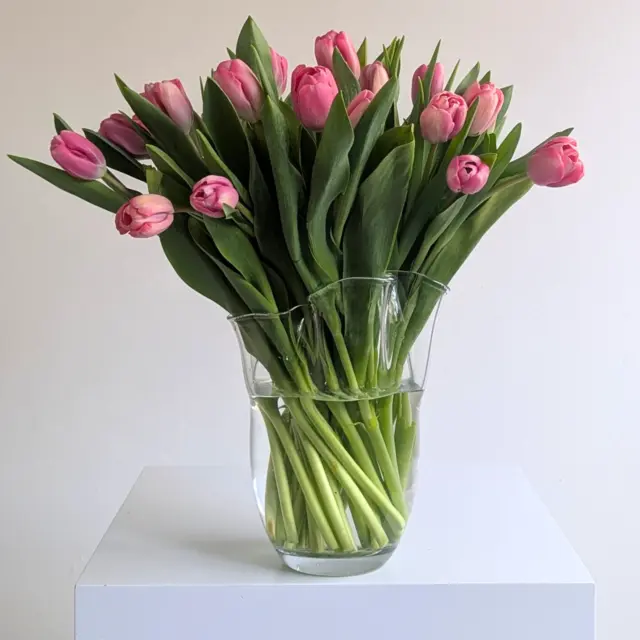 Tulip Vase