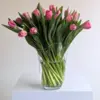 Tulip Vase