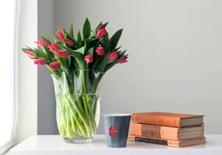 Tulips: A Flower Lovers Guide to these Regal Beauties