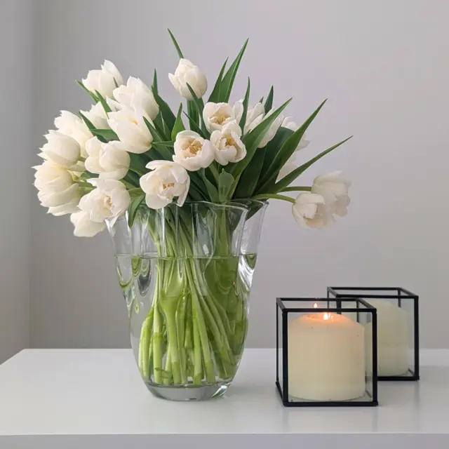 Tulip Vase