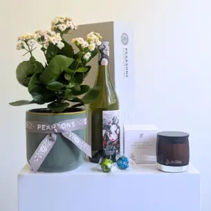 Pretty Plant + White Wine