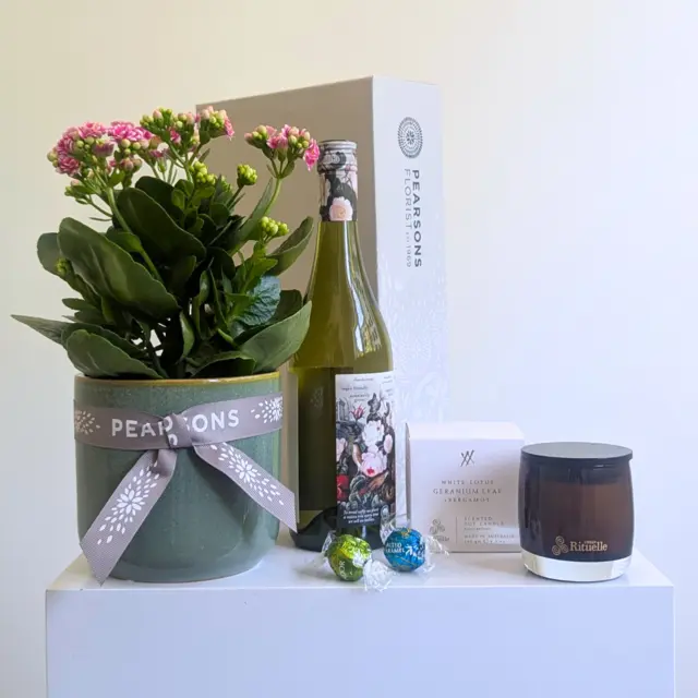 Pretty Plant + White Wine