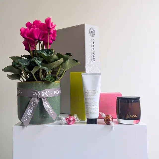 With Gratitude Plant Hamper