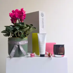 With Gratitude Plant Hamper