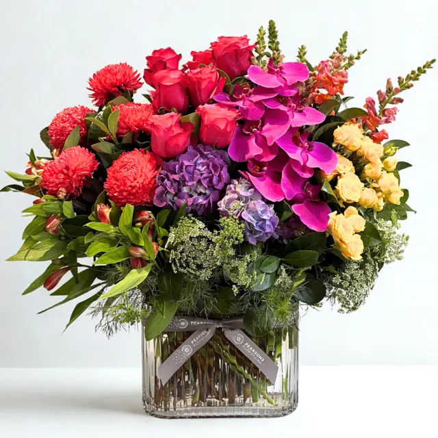 Ultimate Splash of Colour