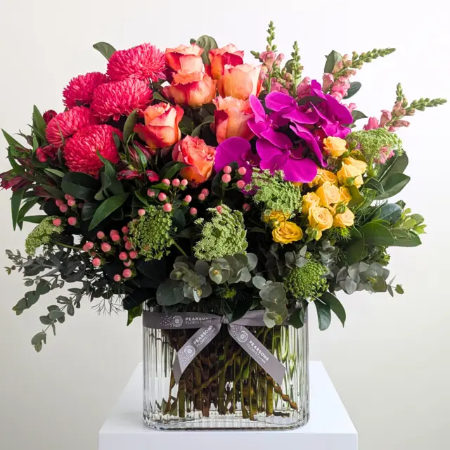 Ultimate Splash of Colour