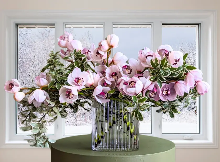 Winter Wonderland: Blooming through the chill!!