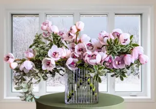 Winter Wonderland: Blooming through the chill!!