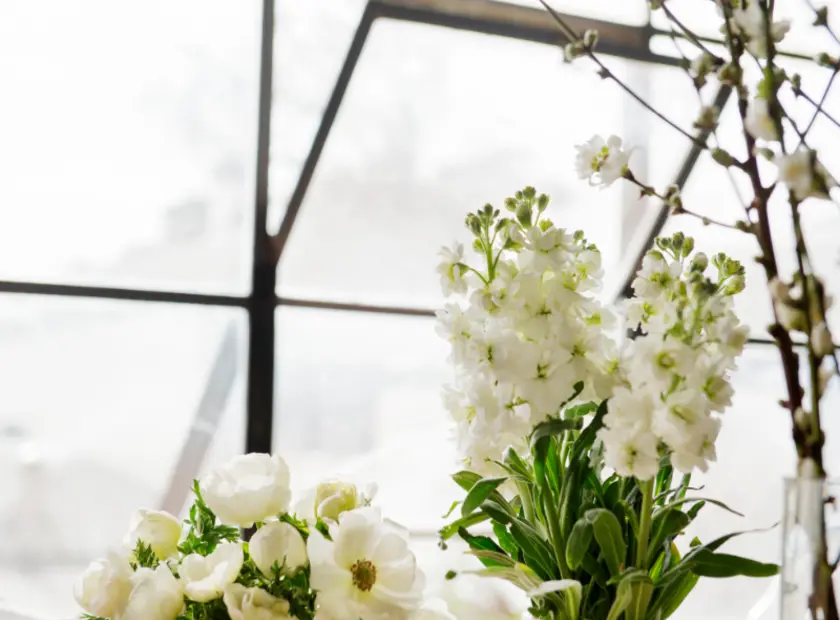 Winter in Melbourne: The Positive Delights of Flowers