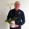 White Phalaenopsis Orchid Plant