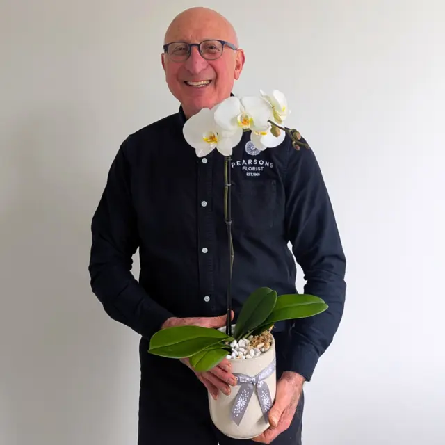 White Phalaenopsis Orchid Plant