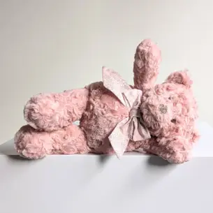 Pink Teddy