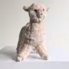 Llama