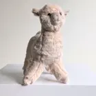 Llama