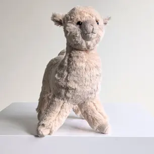 Llama
