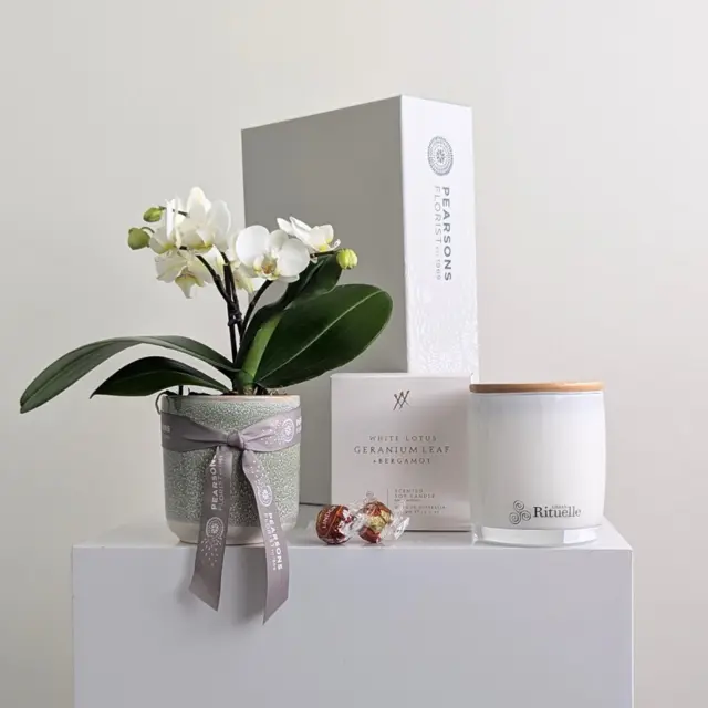 Serenity Orchid Hamper