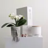 Serenity Orchid Hamper