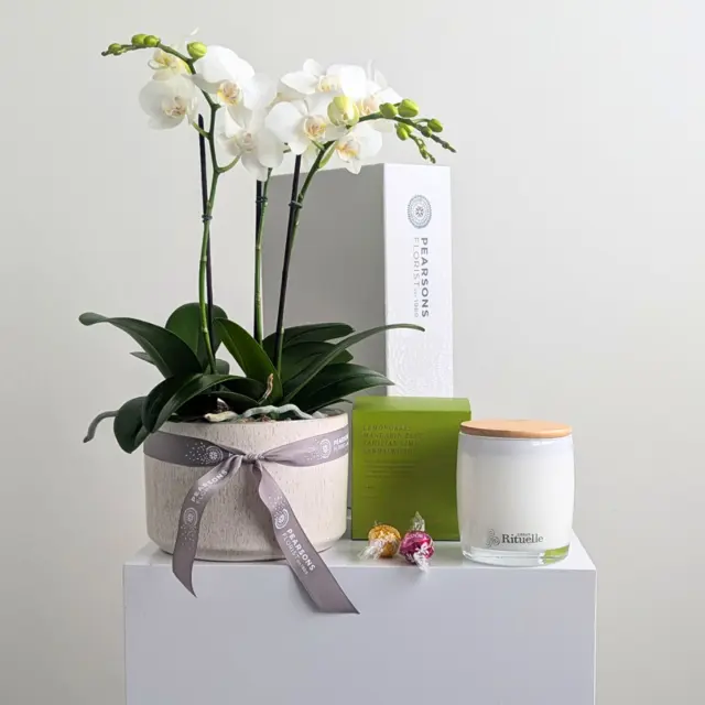 Spring Orchid Hamper