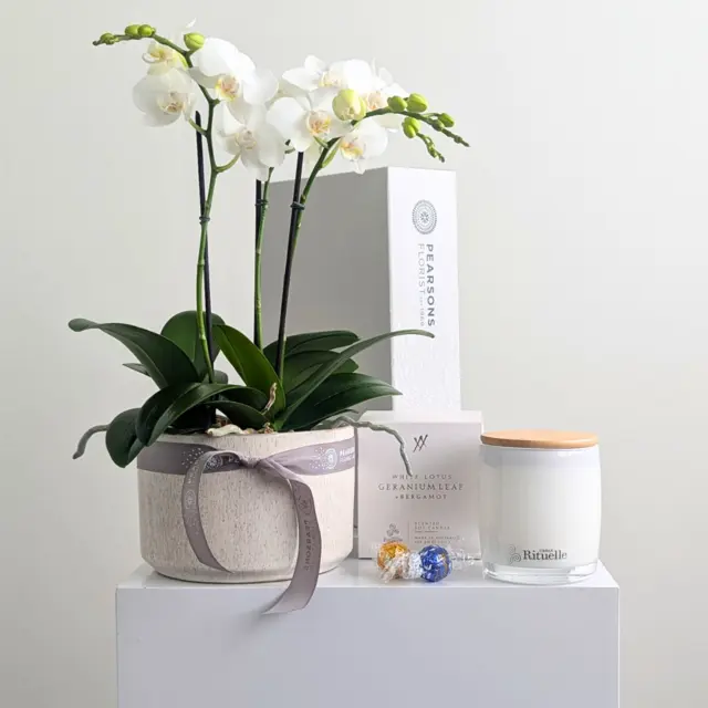 White Lotus Orchid Hamper