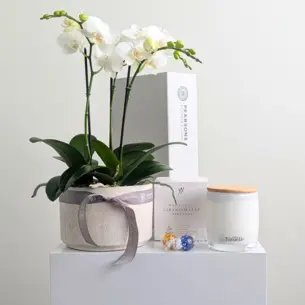 White Lotus Orchid Hamper