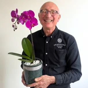 Pink Phalaenopsis Orchid Plant