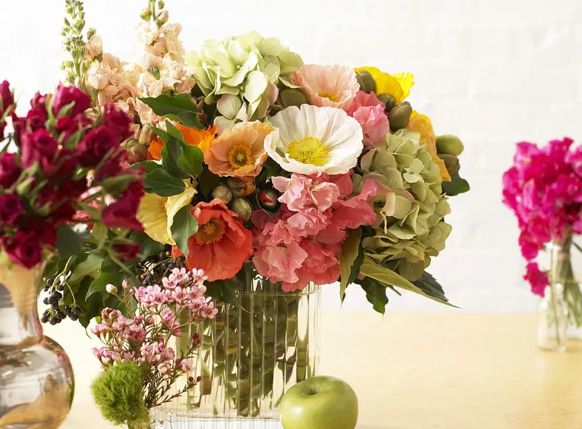 Celebrating Spring: Pearsons Guide to Springtime Blooms