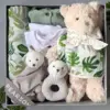 Jungle Baby Gift Box