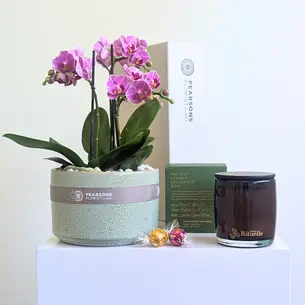 Woodland Orchid Hamper