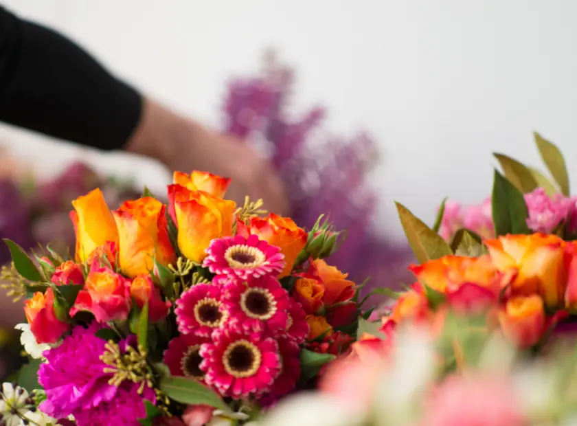 Best Birthday Flowers by Star Sign: A Celestial and Floral Connection