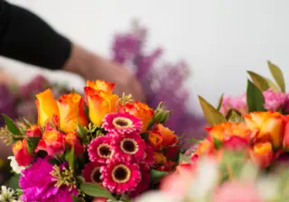 Best Birthday Flowers by Star Sign: A Celestial and Floral Connection