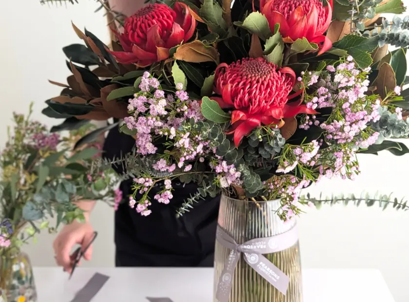 Waratah Flowers: A Springtime Marvel in Australia