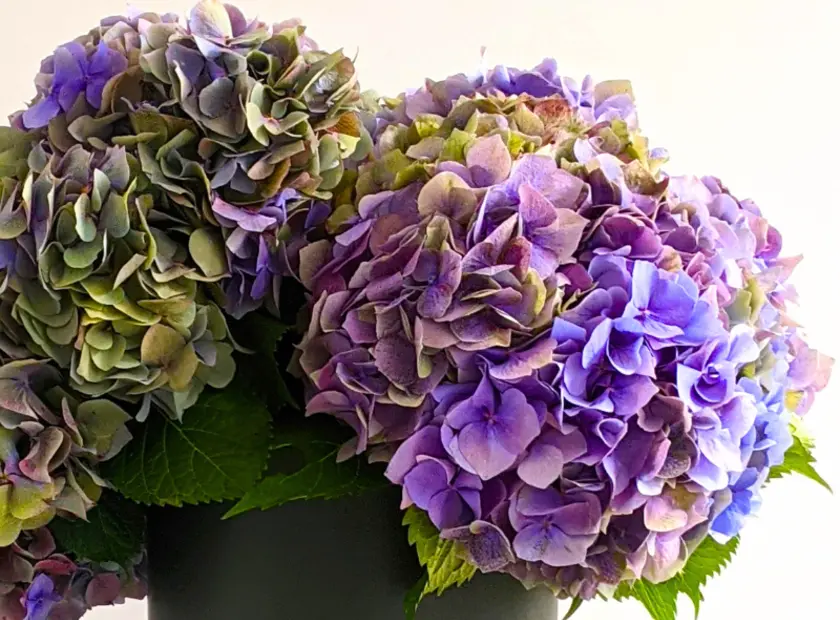 International Women's Day 2022