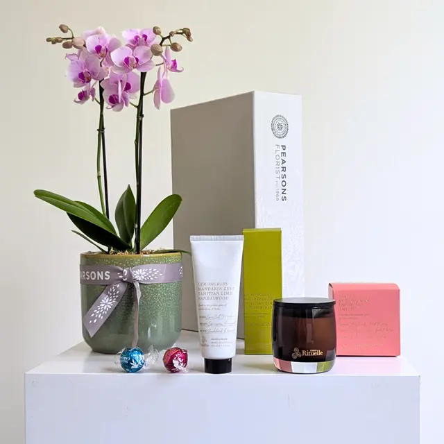 Gratitude Orchid Hamper