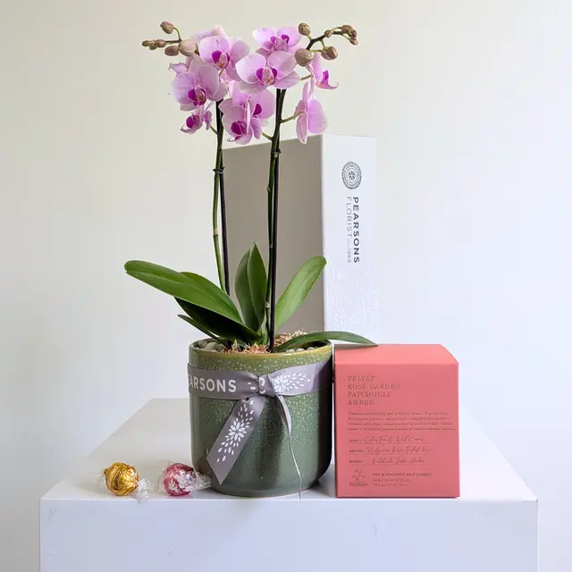Orchid & Candle Pack