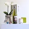 Orchid & White Wine Hamper