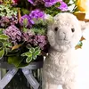 Love Llama Gift Hamper