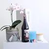 Orchid & Red Wine Hamper
