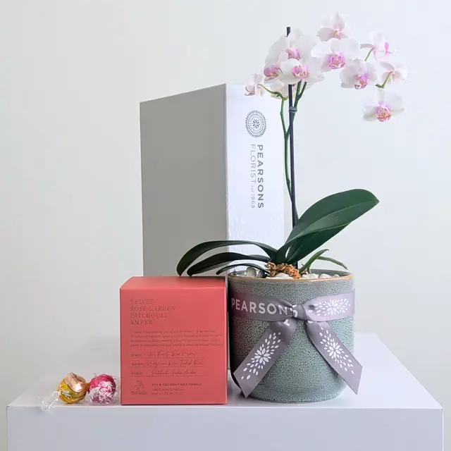Orchid & Candle Pack