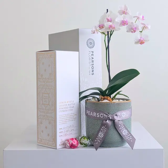 Orchid & Fragrance Diffuser Hamper
