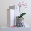 Orchid & Fragrance Diffuser Hamper