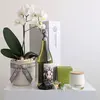 Orchid & White Wine Hamper