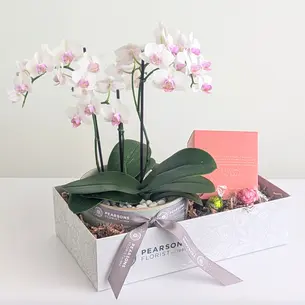 Garden of Love Hamper